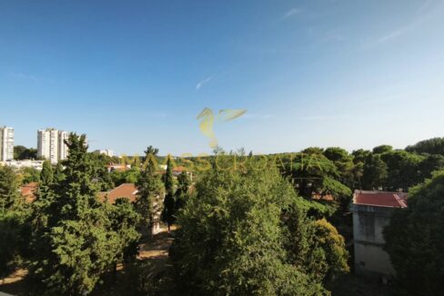 PHOTO-2025-11-24-09-43-12 (5)