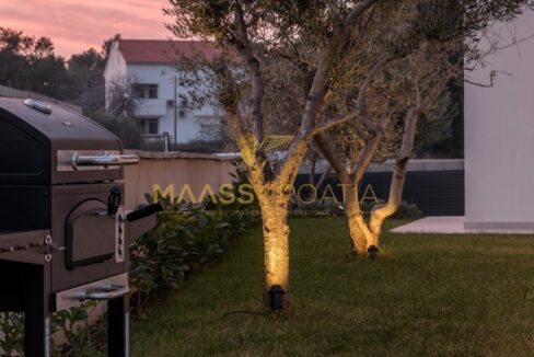 villa-m-premantura-olive-trees-garden2