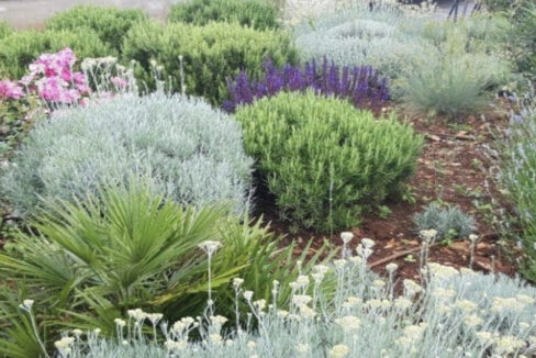 Neues modernes Haus auf der Insel Solta